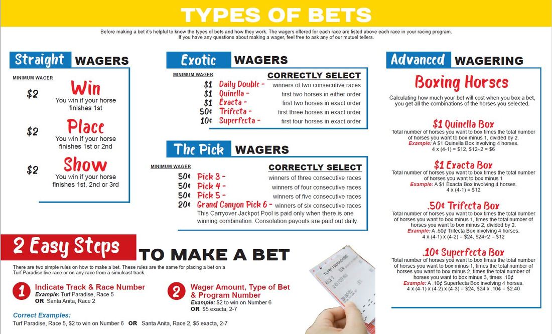 How To Bet On Horses