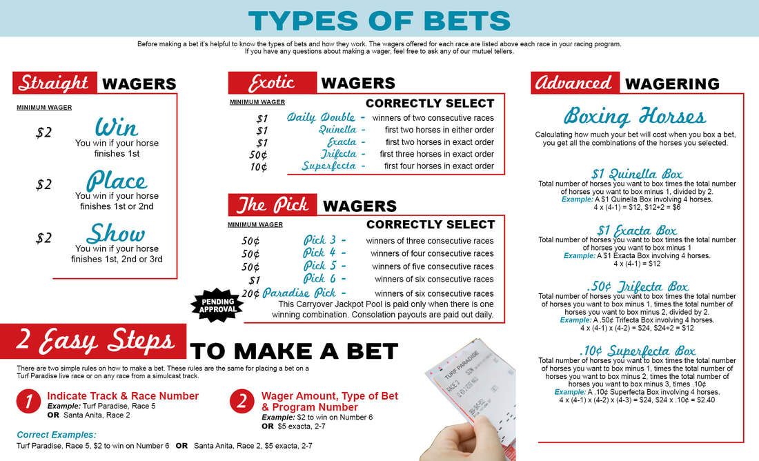 Types Of Horse Racing Bets